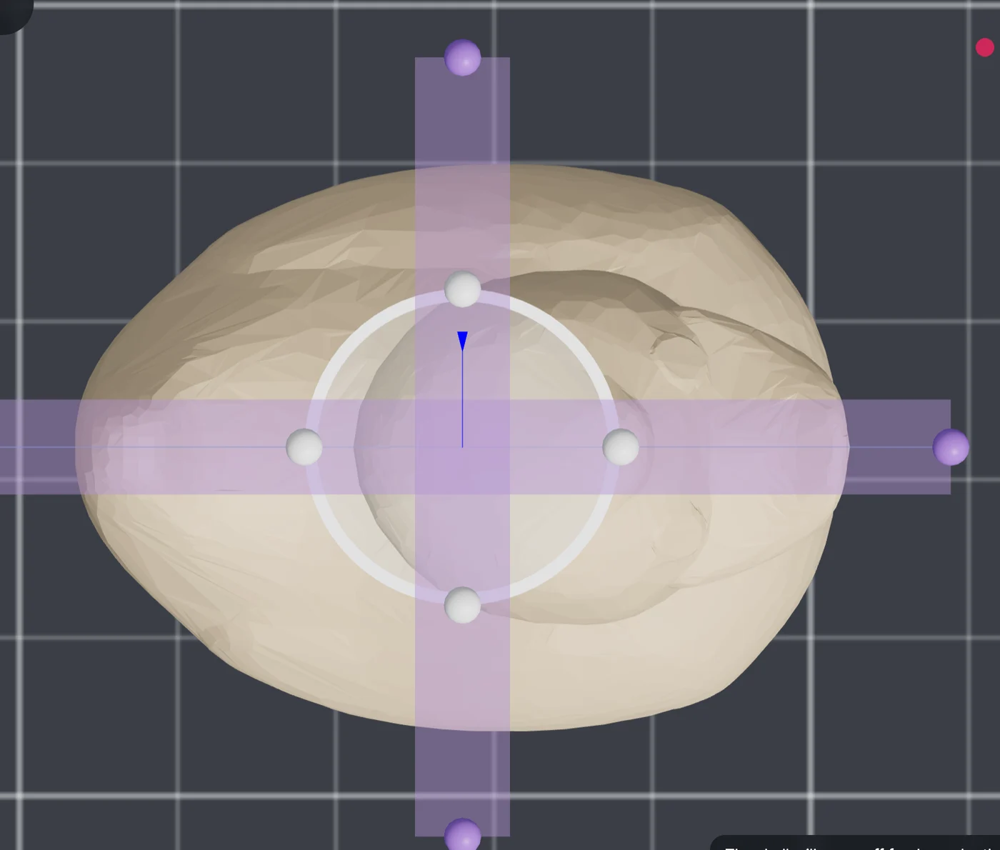 Top view: the white opening circle above the top and the purple fin cross